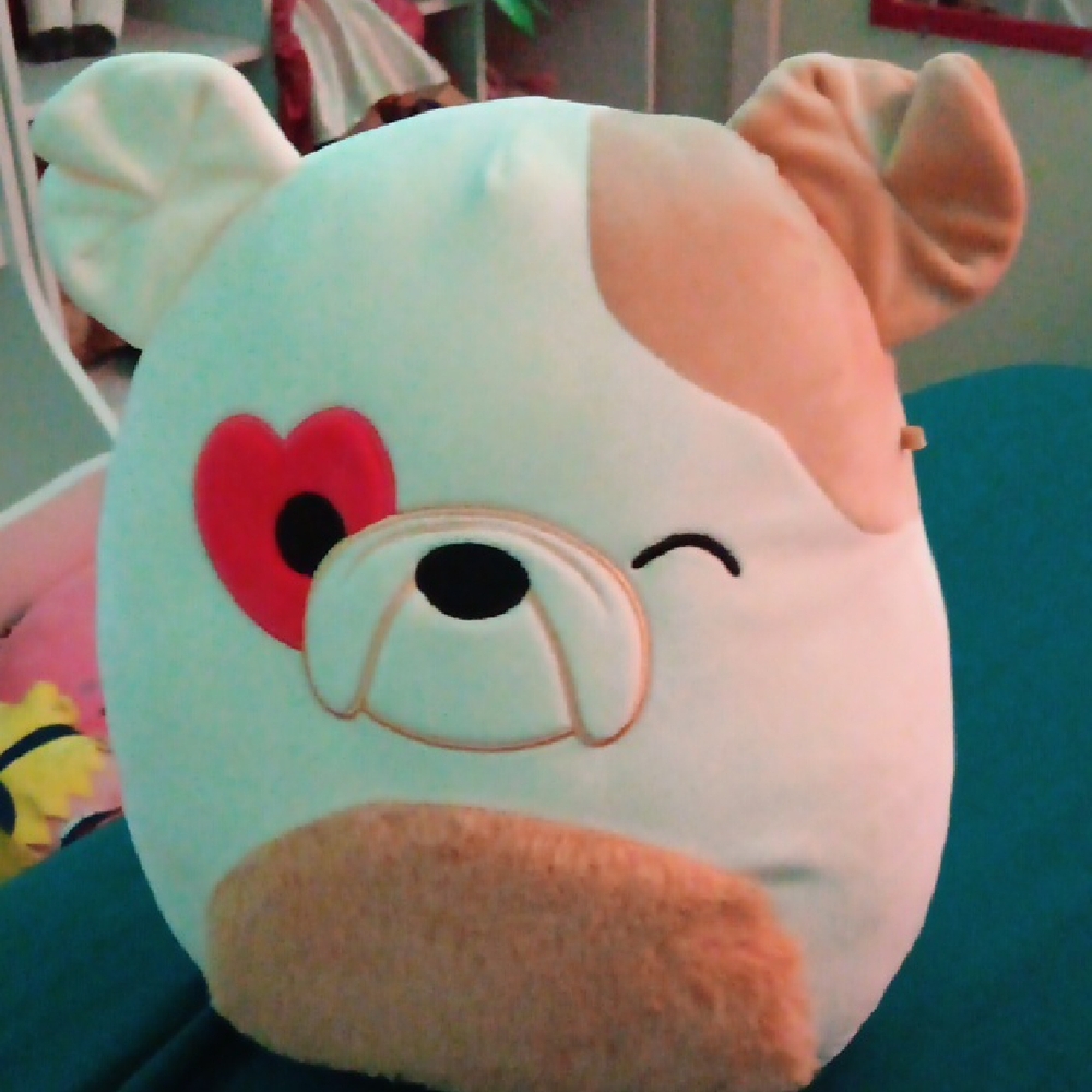 Squishmallows White and Tan Stuffed Animal Collection - Picture 5 of 5